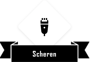 scheren-banner